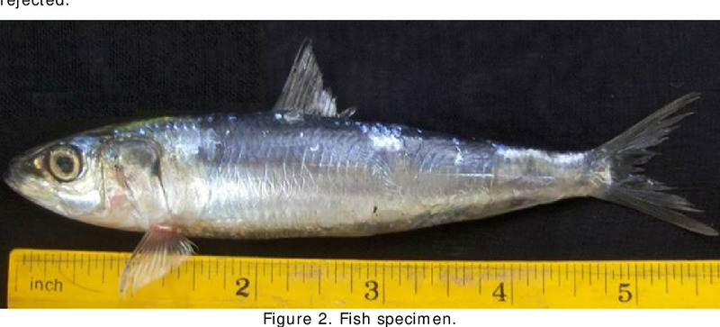 2025030514316017.jpg 33.jpg