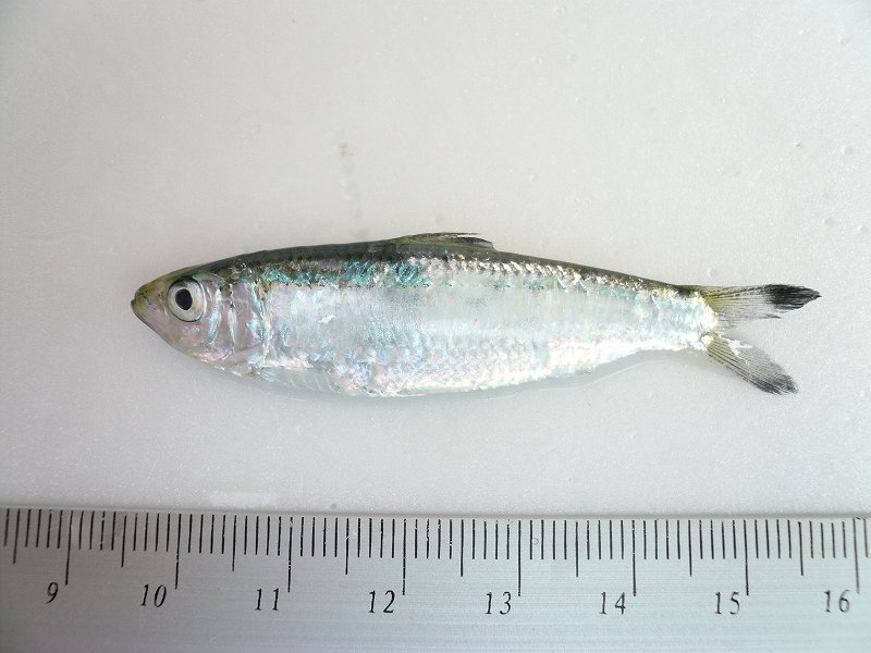 2025030512456603.jpg 7.jpg