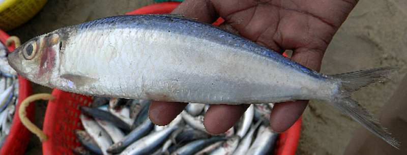 2025030511933768.jpg 9.jpg