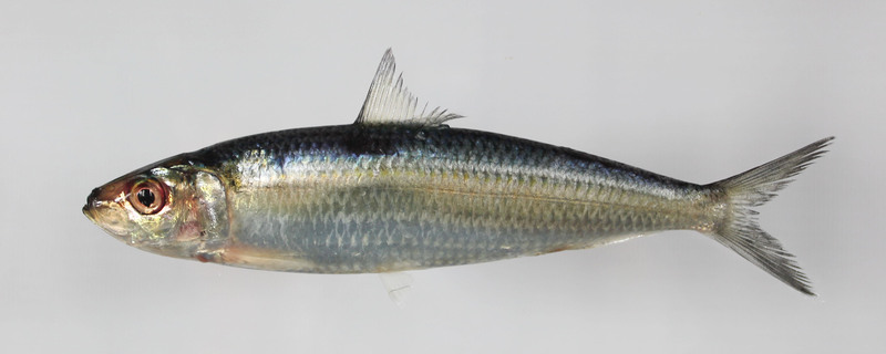 2025030516443330.jpg 88.jpg