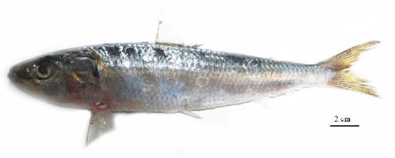 2025030519924110.jpeg 4.jpeg