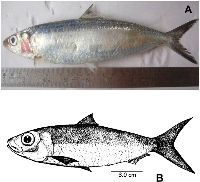 2025030549144433.jpg 99.jpg