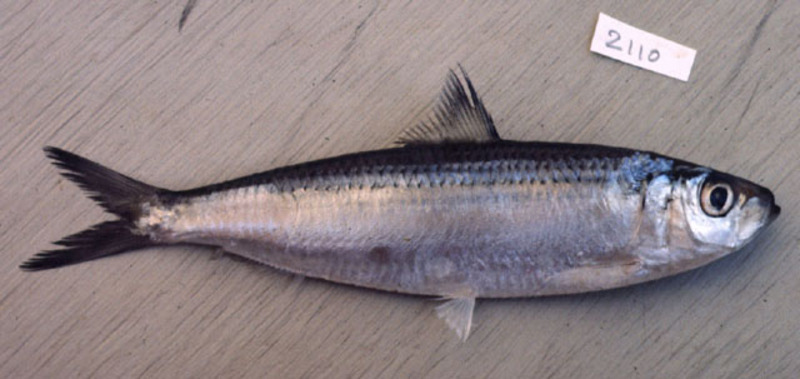 2025030519952780.jpg 8.jpg