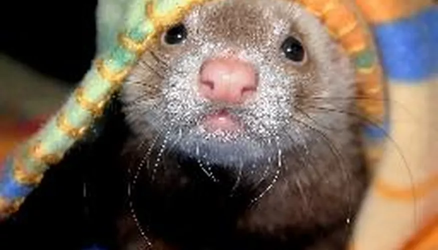 2025030690102249.webp 5.webp