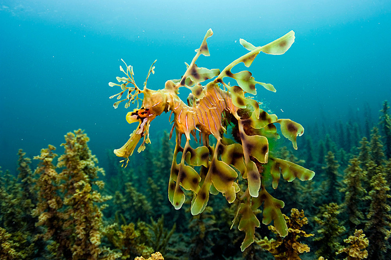 2025030710393398.jpg 3.jpg