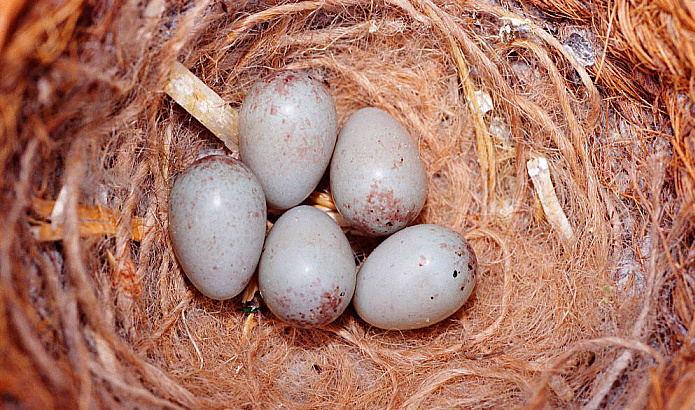 2025030710641660.jpg 77.jpg