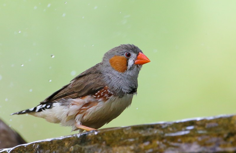 2025030741832119.jpg 8.jpg