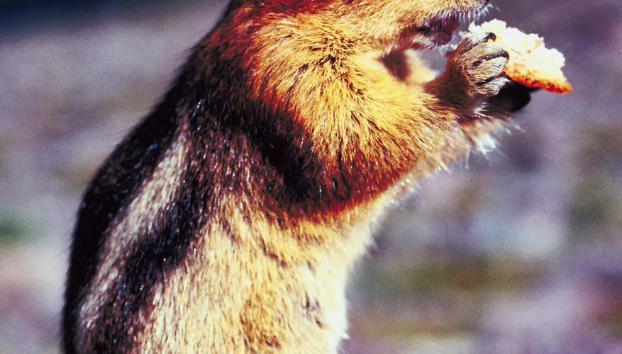 2025030716861354.webp 6.webp