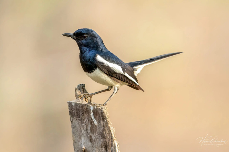 2025030716077007.jpg 9.jpg