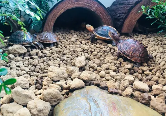 2025030771800608.webp 2.webp