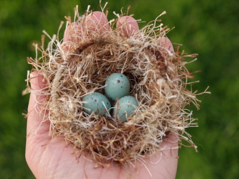 2025030730400175.jpg 125.jpg