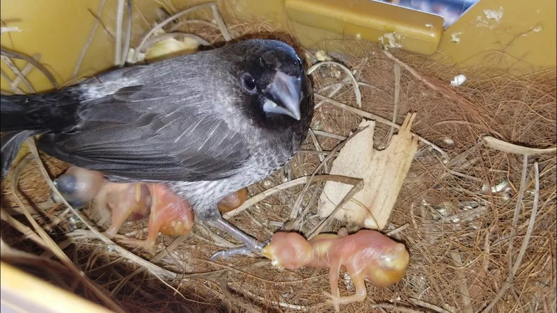 2025030752176332.jpg 1.jpg