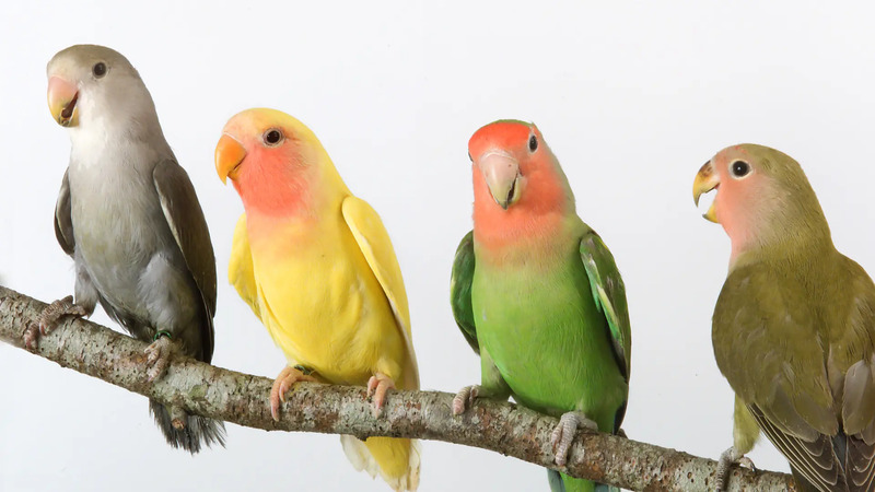 2025030719878068.jpg 6.jpg