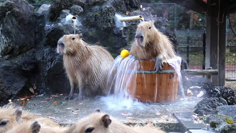 2025030810708398.jpg 6.jpg