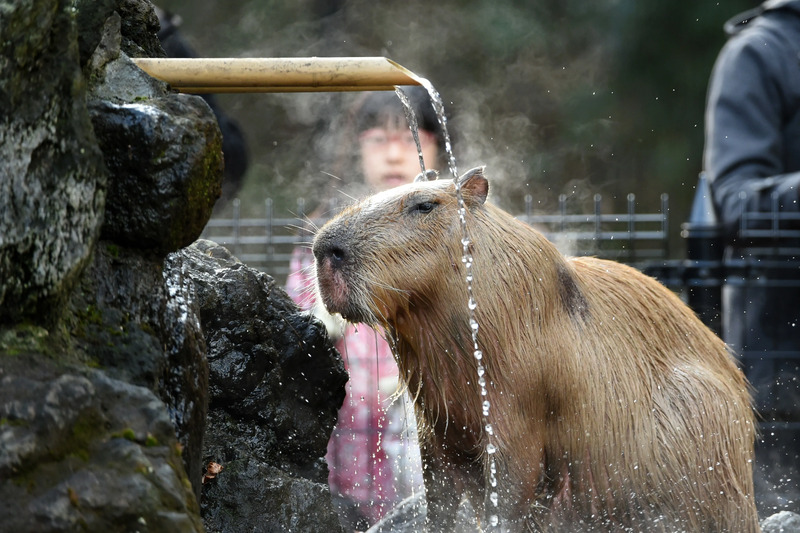 2025030812420786.jpg 4.jpg