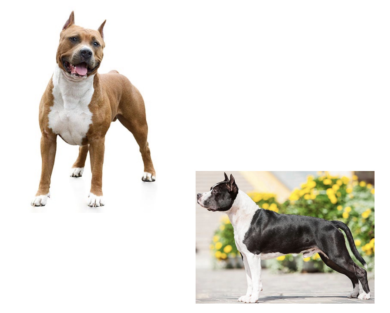 2025030910965404.jpg 1.jpg