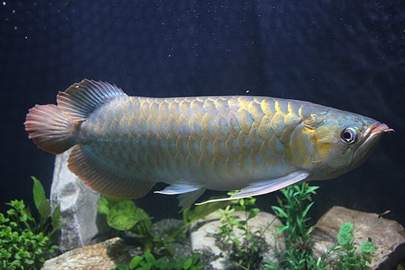 2025031020031299.jpg 44.jpg