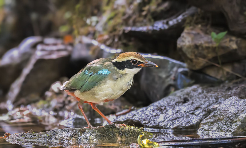 2025031011156268.jpeg 5.jpeg