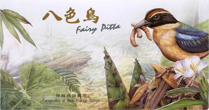 遇见鸟界最美精灵！仙八色鸫：彩虹色的卡通仙子