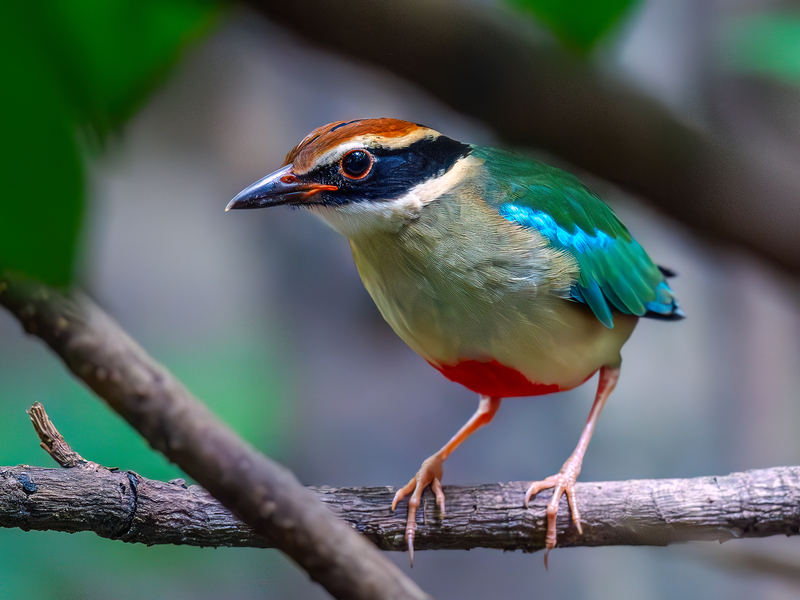 2025031017834397.jpeg 11.jpeg