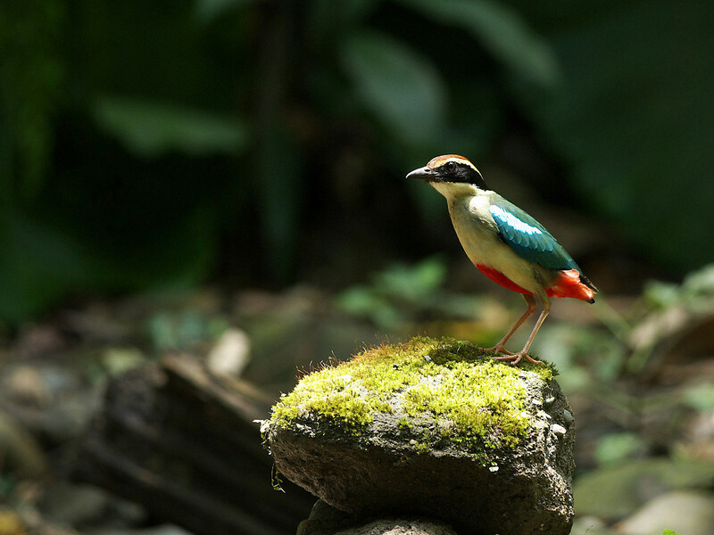 2025031017815271.jpg 2.jpg