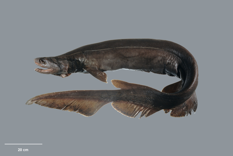 2025031018234039.jpg 1.jpg