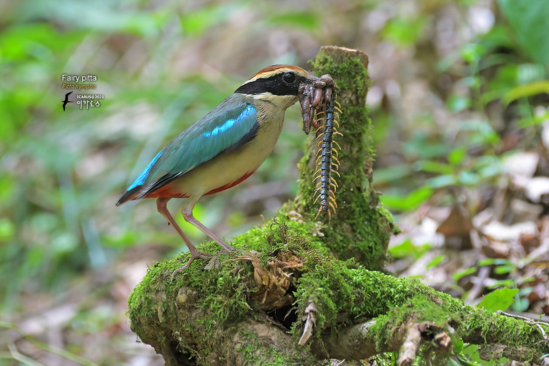 2025031097646837.jpg 9.jpg