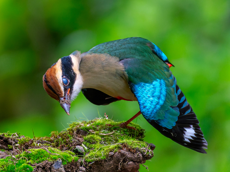 2025031020137748.jpg 123.jpg