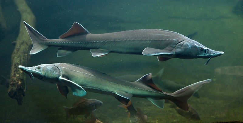 2025031020541668.jpg 5.jpg