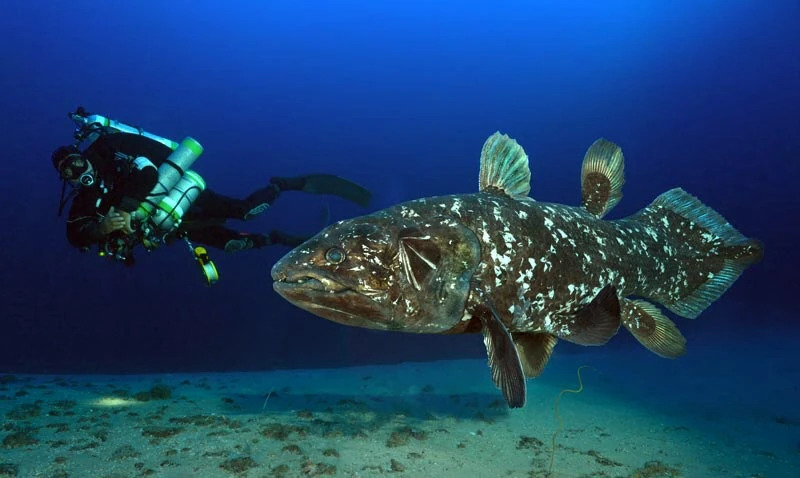 2025031020727884.jpg 2.jpg