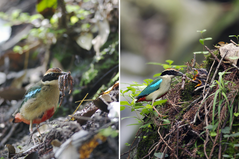 2025031057231949.jpg 6.jpg