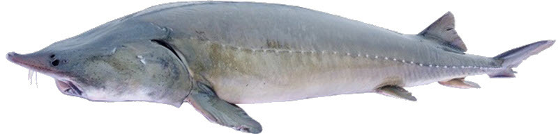 2025031015478557.jpg 77.jpg