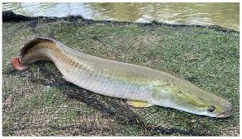 2025031078842163.jpeg 9.jpeg