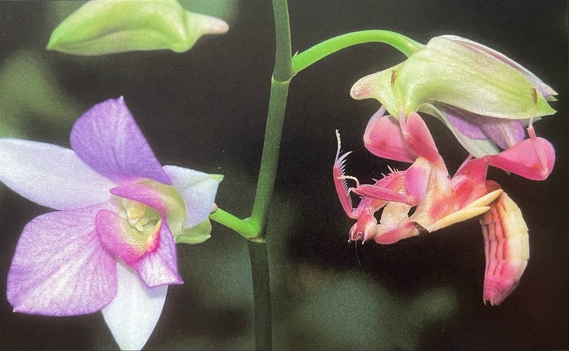 2025031112418338.jpg 12.jpg