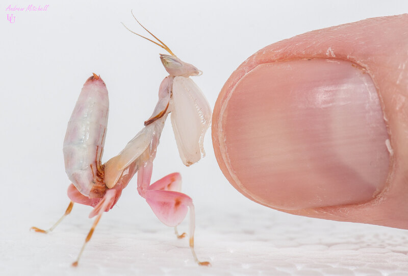 2025031114045943.jpg 10.jpg