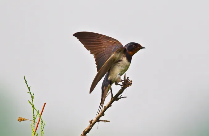 2025031115284148.webp 1.webp