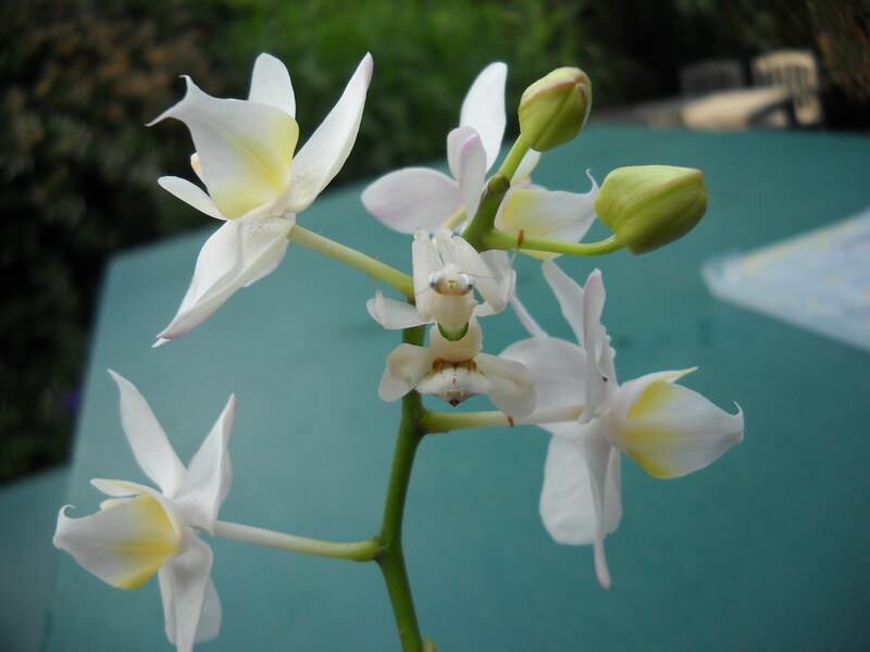 2025031129425818.jpg 4.jpg