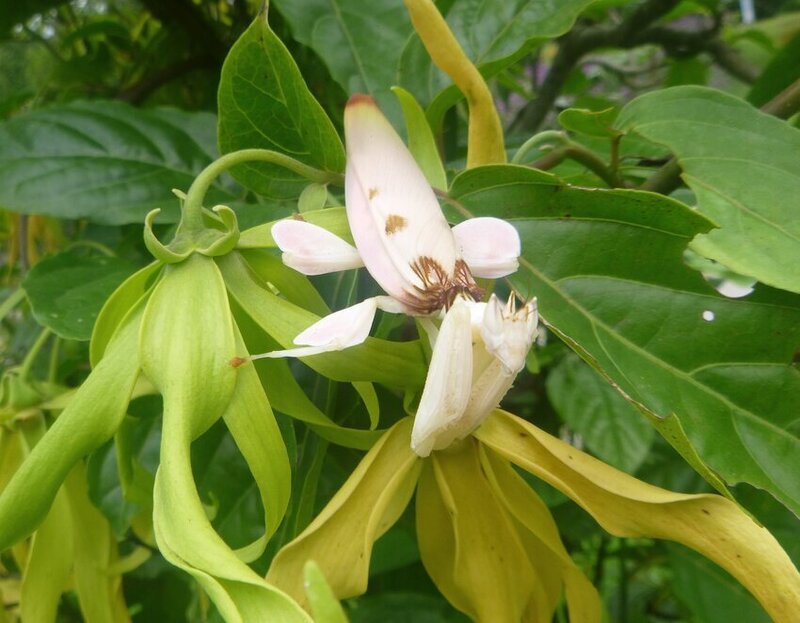 2025031190313635.jpg 5.jpg