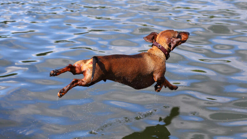 2025031211997685.jpeg 7.jpeg