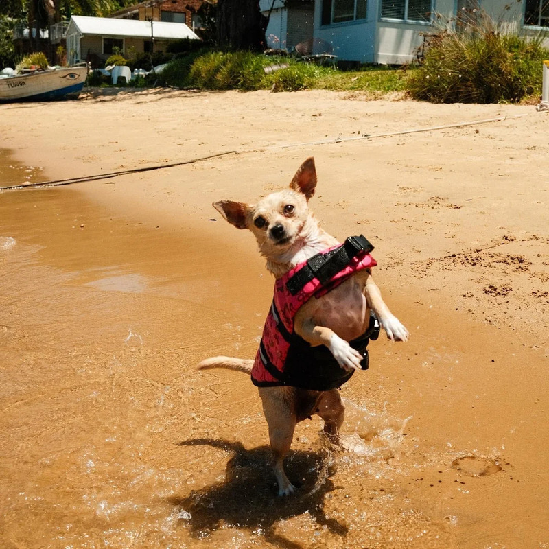 2025031220262442.jpg 3.jpg