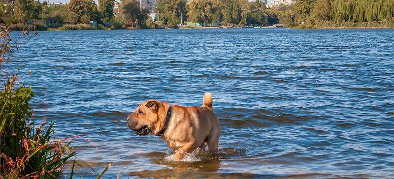 2025031222049626.jpg 4.jpg