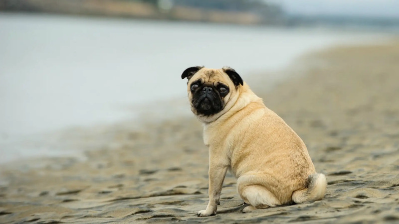 2025031255129118.jpg 2.jpg