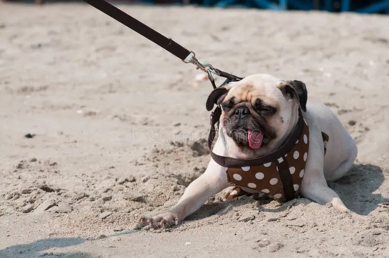 2025031267589378.jpg 22.jpg