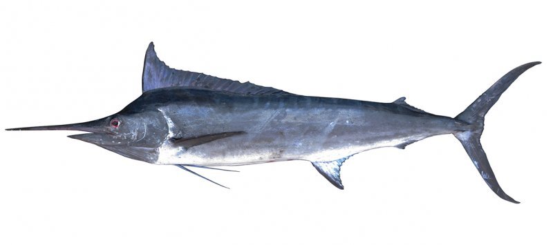 2025031373271487.jpg 2k2448giLX8RmCPR.jpg