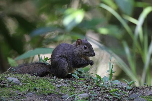 2025031815142735.jpg 16.jpg