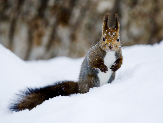 2025031817150717.jpg 14.jpg