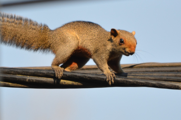 2025031820201658.jpeg 13.jpeg