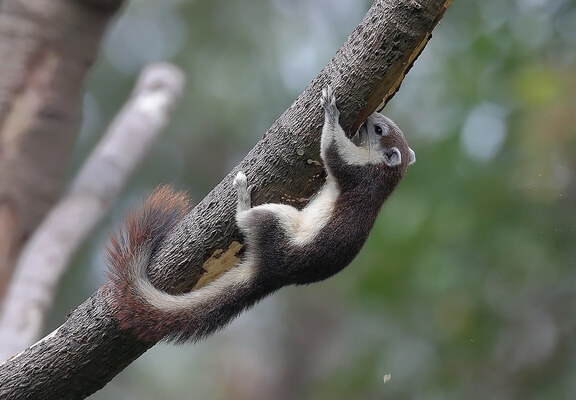 2025031832630069.jpg 111.jpg