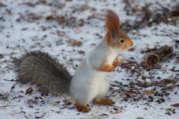 2025031859959757.jpg 2.jpg