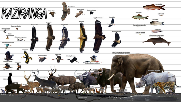 2025032479256206.jpg 123.jpg